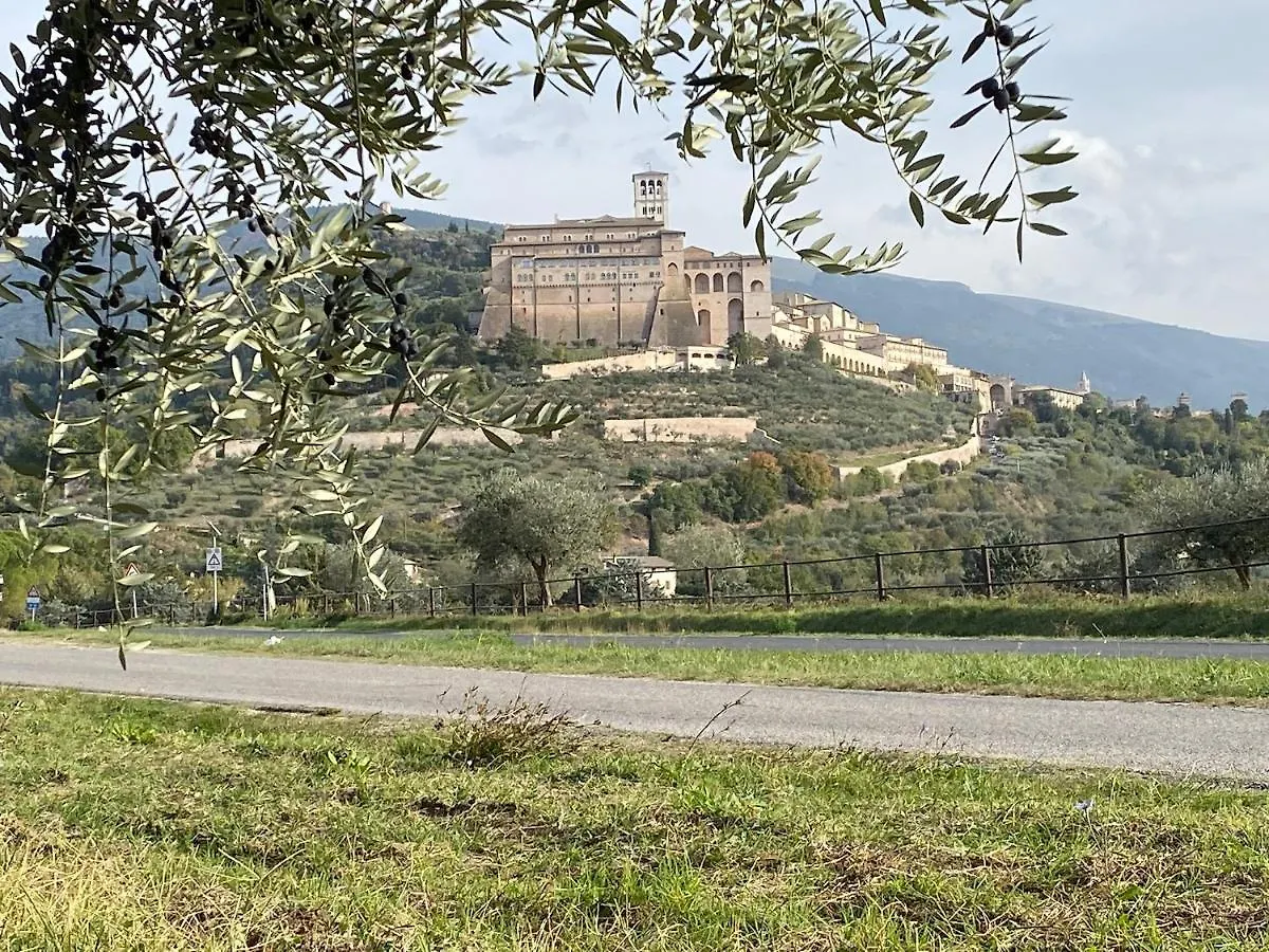 Agriturismo Il Girasole Ассизи 0*,